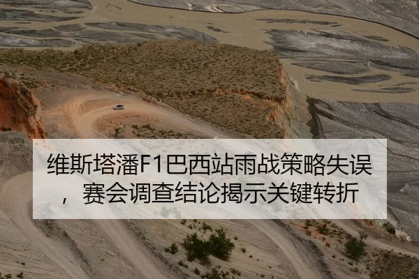维斯塔潘F1巴西站雨战策略失误，赛会调查结论揭示关键转折