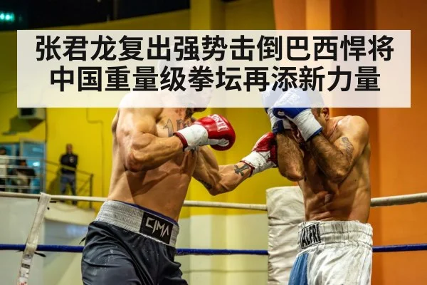 张君龙复出强势击倒巴西悍将 中国重量级拳坛再添新力量